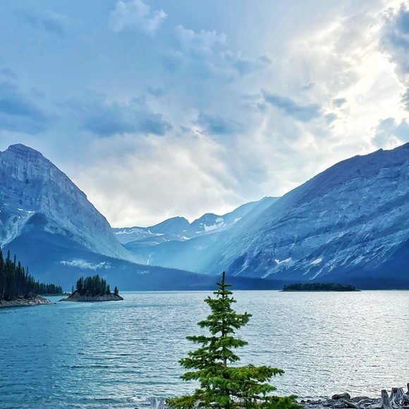 Meet your Posher, James - Picture 4 of 5